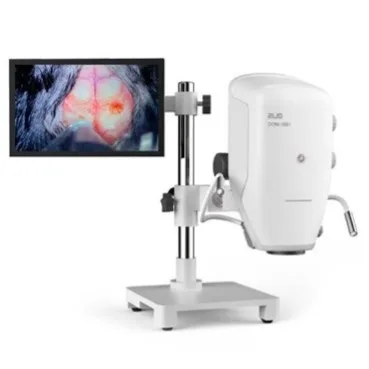 Strumenti e ricerca 2Biol