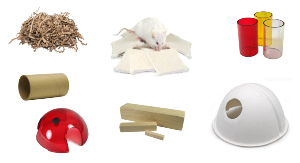 Enrichment and Treats