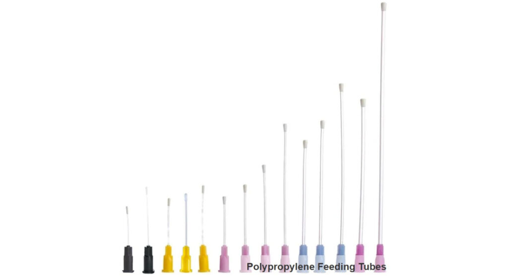 Gavage and Feeding Needles